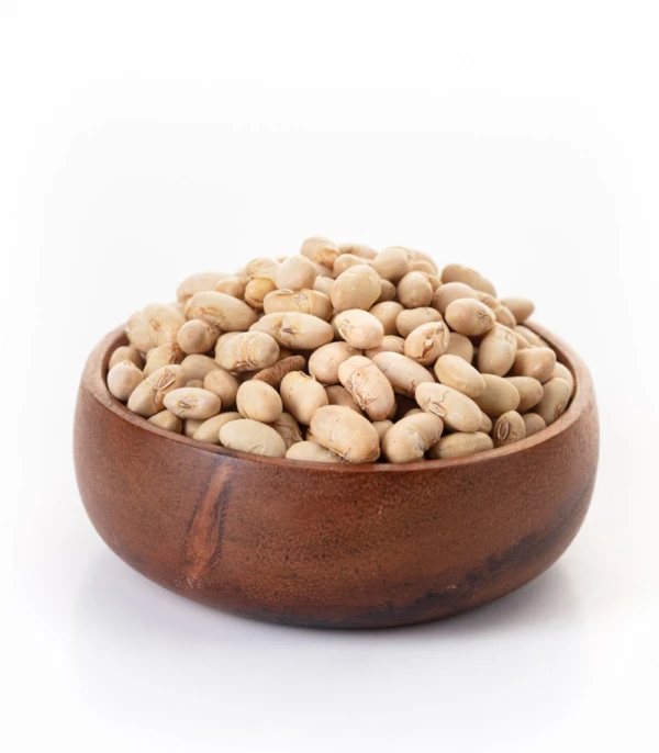 سویا آجیلی